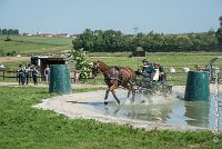 019 D301- MARATHON -ATTELAGE LOUVRES - MARATHON - 28052017-ATE 2107 : 2017, 28 mAI 2017, Concours ATTELAGE 2017, D301, MARATHON, Obstacle 3