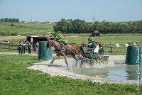 020 D301- MARATHON -ATTELAGE LOUVRES - MARATHON - 28052017-ATE 2108 : 2017, 28 mAI 2017, Concours ATTELAGE 2017, D301, MARATHON, Obstacle 3