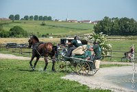 021 D301- MARATHON -ATTELAGE LOUVRES - MARATHON - 28052017-ATE 2109 : 2017, 28 mAI 2017, Concours ATTELAGE 2017, D301, MARATHON, Obstacle 3