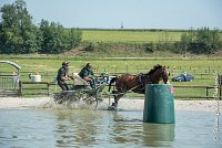 023 D301- MARATHON -ATTELAGE LOUVRES - MARATHON - 28052017-ATE 2111 : 2017, 28 mAI 2017, Concours ATTELAGE 2017, D301, MARATHON, Obstacle 3