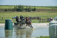 024 D301- MARATHON -ATTELAGE LOUVRES - MARATHON - 28052017-ATE 2112 : 2017, 28 mAI 2017, Concours ATTELAGE 2017, D301, MARATHON, Obstacle 3