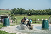 026 D301- MARATHON -ATTELAGE LOUVRES - MARATHON - 28052017-ATE 2114 : 2017, 28 mAI 2017, Concours ATTELAGE 2017, D301, MARATHON, Obstacle 3