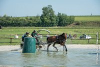 027 D301- MARATHON -ATTELAGE LOUVRES - MARATHON - 28052017-ATE 2115 : 2017, 28 mAI 2017, Concours ATTELAGE 2017, D301, MARATHON, Obstacle 3