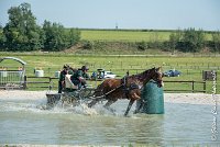 028 D301- MARATHON -ATTELAGE LOUVRES - MARATHON - 28052017-ATE 2116 : 2017, 28 mAI 2017, Concours ATTELAGE 2017, D301, MARATHON, Obstacle 3