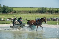 029 D301- MARATHON -ATTELAGE LOUVRES - MARATHON - 28052017-ATE 2117 : 2017, 28 mAI 2017, Concours ATTELAGE 2017, D301, MARATHON, Obstacle 3