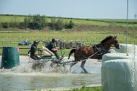 030 D301- MARATHON -ATTELAGE LOUVRES - MARATHON - 28052017-ATE 2118 : 2017, 28 mAI 2017, Concours ATTELAGE 2017, D301, MARATHON, Obstacle 3