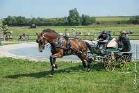 033 D301- MARATHON -ATTELAGE LOUVRES - MARATHON - 28052017-ATE 2121 : 2017, 28 mAI 2017, Concours ATTELAGE 2017, D301, MARATHON, Obstacle 3