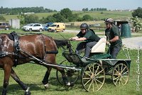 036 D301- MARATHON -ATTELAGE LOUVRES - MARATHON - 28052017-ATE 2124 : 2017, 28 mAI 2017, Concours ATTELAGE 2017, D301, MARATHON, Obstacle 3