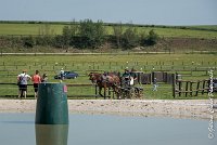 037 D301- MARATHON -ATTELAGE LOUVRES - MARATHON - 28052017-ATE 2146 : 2017, 28 mAI 2017, Concours ATTELAGE 2017, D301, MARATHON