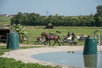 038 D301- MARATHON -ATTELAGE LOUVRES - MARATHON - 28052017-ATE 2147 : 2017, 28 mAI 2017, Concours ATTELAGE 2017, D301, MARATHON