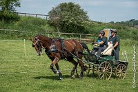 039 D301- MARATHON -ATTELAGE LOUVRES - MARATHON - 28052017-ATE 2148 : 2017, 28 mAI 2017, Concours ATTELAGE 2017, D301, MARATHON, Obstacle 4