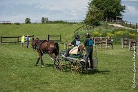 040 D301- MARATHON -ATTELAGE LOUVRES - MARATHON - 28052017-ATE 2149 : 2017, 28 mAI 2017, Concours ATTELAGE 2017, D301, MARATHON, Obstacle 4