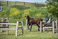 042 D301- MARATHON -ATTELAGE LOUVRES - MARATHON - 28052017-ATE 2155 : 2017, 28 mAI 2017, Concours ATTELAGE 2017, D301, MARATHON, Obstacle 4