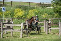 043 D301- MARATHON -ATTELAGE LOUVRES - MARATHON - 28052017-ATE 2156 : 2017, 28 mAI 2017, Concours ATTELAGE 2017, D301, MARATHON, Obstacle 4