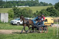 002 D302- MARATHON -ATTELAGE LOUVRES - MARATHON - 28052017-ATE 2014 : 2017, 28 mAI 2017, Concours ATTELAGE 2017, D302, MARATHON