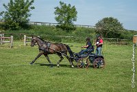 003 D302- MARATHON -ATTELAGE LOUVRES - MARATHON - 28052017-ATE 2015 : 2017, 28 mAI 2017, Concours ATTELAGE 2017, D302, MARATHON