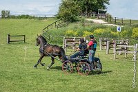 004 D302- MARATHON -ATTELAGE LOUVRES - MARATHON - 28052017-ATE 2016 : 2017, 28 mAI 2017, Concours ATTELAGE 2017, D302, MARATHON