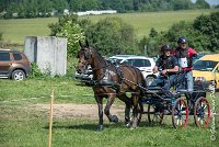 006 D302- MARATHON -ATTELAGE LOUVRES - MARATHON - 28052017-ATE 2037 : 2017, 28 mAI 2017, Concours ATTELAGE 2017, D302, MARATHON