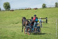 008 D302- MARATHON -ATTELAGE LOUVRES - MARATHON - 28052017-ATE 2039 : 2017, 28 mAI 2017, Concours ATTELAGE 2017, D302, MARATHON