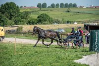 009 D302- MARATHON -ATTELAGE LOUVRES - MARATHON - 28052017-ATE 2045 : 2017, 28 mAI 2017, Concours ATTELAGE 2017, D302, MARATHON, Obstacle 3