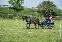 010 D302- MARATHON -ATTELAGE LOUVRES - MARATHON - 28052017-ATE 2046 : 2017, 28 mAI 2017, Concours ATTELAGE 2017, D302, MARATHON, Obstacle 3