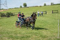 011 D302- MARATHON -ATTELAGE LOUVRES - MARATHON - 28052017-ATE 2048 : 2017, 28 mAI 2017, Concours ATTELAGE 2017, D302, MARATHON, Obstacle 3