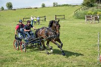 012 D302- MARATHON -ATTELAGE LOUVRES - MARATHON - 28052017-ATE 2049 : 2017, 28 mAI 2017, Concours ATTELAGE 2017, D302, MARATHON, Obstacle 3