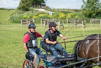 013 D302- MARATHON -ATTELAGE LOUVRES - MARATHON - 28052017-ATE 2050 : 2017, 28 mAI 2017, Concours ATTELAGE 2017, D302, MARATHON, Obstacle 3