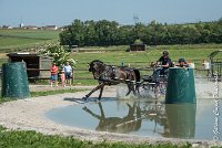 018 D302- MARATHON -ATTELAGE LOUVRES - MARATHON - 28052017-ATE 2055 : 2017, 28 mAI 2017, Concours ATTELAGE 2017, D302, MARATHON, Obstacle 3