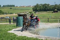 019 D302- MARATHON -ATTELAGE LOUVRES - MARATHON - 28052017-ATE 2056 : 2017, 28 mAI 2017, Concours ATTELAGE 2017, D302, MARATHON, Obstacle 3