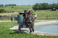 020 D302- MARATHON -ATTELAGE LOUVRES - MARATHON - 28052017-ATE 2057 : 2017, 28 mAI 2017, Concours ATTELAGE 2017, D302, MARATHON, Obstacle 3