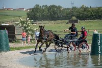 026 D302- MARATHON -ATTELAGE LOUVRES - MARATHON - 28052017-ATE 2063 : 2017, 28 mAI 2017, Concours ATTELAGE 2017, D302, MARATHON, Obstacle 3