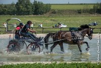 028 D302- MARATHON -ATTELAGE LOUVRES - MARATHON - 28052017-ATE 2065 : 2017, 28 mAI 2017, Concours ATTELAGE 2017, D302, MARATHON, Obstacle 3