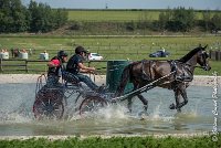 029 D302- MARATHON -ATTELAGE LOUVRES - MARATHON - 28052017-ATE 2066 : 2017, 28 mAI 2017, Concours ATTELAGE 2017, D302, MARATHON, Obstacle 3