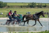 037 D302- MARATHON -ATTELAGE LOUVRES - MARATHON - 28052017-ATE 2074 : 2017, 28 mAI 2017, Concours ATTELAGE 2017, D302, MARATHON, Obstacle 3