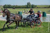 039 D302- MARATHON -ATTELAGE LOUVRES - MARATHON - 28052017-ATE 2077 : 2017, 28 mAI 2017, Concours ATTELAGE 2017, D302, MARATHON, Obstacle 3