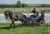 040 D302- MARATHON -ATTELAGE LOUVRES - MARATHON - 28052017-ATE 2076 : 2017, 28 mAI 2017, Concours ATTELAGE 2017, D302, MARATHON, Obstacle 3