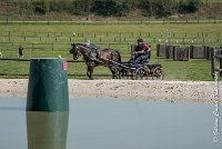 042 D302- MARATHON -ATTELAGE LOUVRES - MARATHON - 28052017-ATE 2086 : 2017, 28 mAI 2017, Concours ATTELAGE 2017, D302, MARATHON