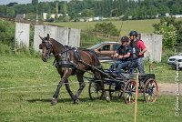 043 D302- MARATHON -ATTELAGE LOUVRES - MARATHON - 28052017-ATE 2088 : 2017, 28 mAI 2017, Concours ATTELAGE 2017, D302, MARATHON, Obstacle 4