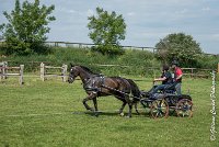 044 D302- MARATHON -ATTELAGE LOUVRES - MARATHON - 28052017-ATE 2089 : 2017, 28 mAI 2017, Concours ATTELAGE 2017, D302, MARATHON, Obstacle 4