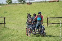 045 D302- MARATHON -ATTELAGE LOUVRES - MARATHON - 28052017-ATE 2090 : 2017, 28 mAI 2017, Concours ATTELAGE 2017, D302, MARATHON, Obstacle 4