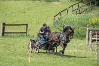 046 D302- MARATHON -ATTELAGE LOUVRES - MARATHON - 28052017-ATE 2093 : 2017, 28 mAI 2017, Concours ATTELAGE 2017, D302, MARATHON, Obstacle 4