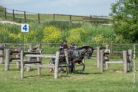 048 D302- MARATHON -ATTELAGE LOUVRES - MARATHON - 28052017-ATE 2099 : 2017, 28 mAI 2017, Concours ATTELAGE 2017, D302, MARATHON, Obstacle 4