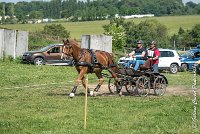 003D303 - MARATHON -ATTELAGE LOUVRES - MARATHON - 28052017-ATE 2083 : 2017, 28 mAI 2017, Concours ATTELAGE 2017, D303, MARATHON