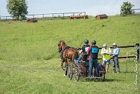 005D303 - MARATHON -ATTELAGE LOUVRES - MARATHON - 28052017-ATE 2085 : 2017, 28 mAI 2017, Concours ATTELAGE 2017, D303, MARATHON