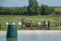 006D303 - MARATHON -ATTELAGE LOUVRES - MARATHON - 28052017-ATE 2125 : 2017, 28 mAI 2017, Concours ATTELAGE 2017, D303, MARATHON