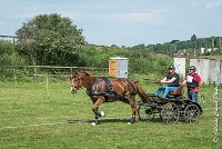 007D303 - MARATHON -ATTELAGE LOUVRES - MARATHON - 28052017-ATE 2126 : 2017, 28 mAI 2017, Concours ATTELAGE 2017, D303, MARATHON