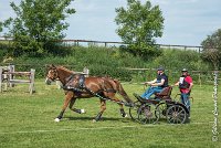 008D303 - MARATHON -ATTELAGE LOUVRES - MARATHON - 28052017-ATE 2127 : 2017, 28 mAI 2017, Concours ATTELAGE 2017, D303, MARATHON