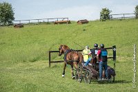 009D303 - MARATHON -ATTELAGE LOUVRES - MARATHON - 28052017-ATE 2128 : 2017, 28 mAI 2017, Concours ATTELAGE 2017, D303, MARATHON