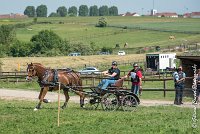 010D303 - MARATHON -ATTELAGE LOUVRES - MARATHON - 28052017-ATE 2150 : 2017, 28 mAI 2017, Concours ATTELAGE 2017, D303, MARATHON, Obstacle 3